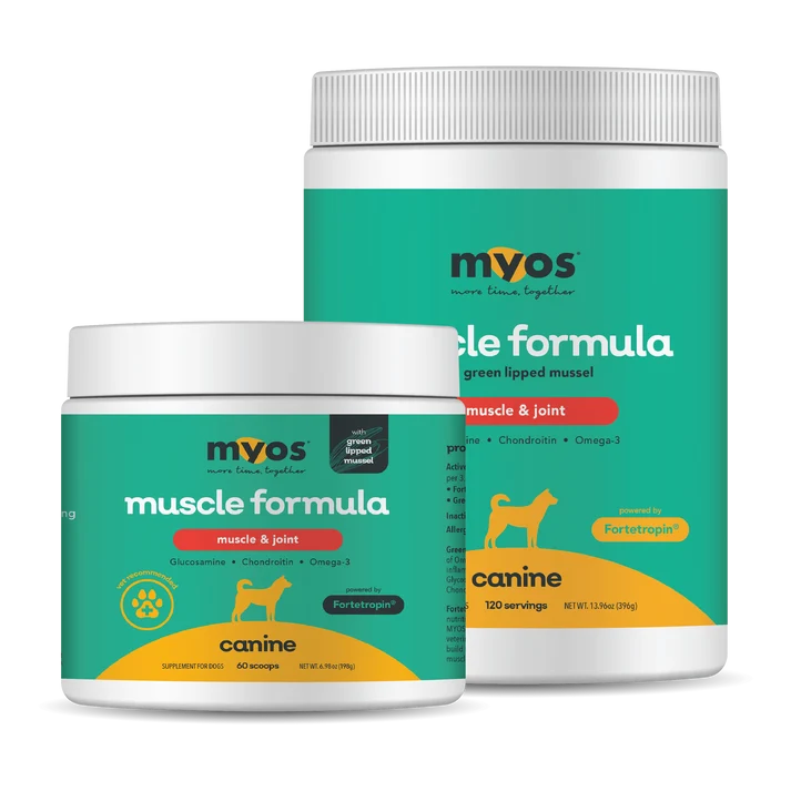 MYOS CANINE MUSCLE with GREEN LIP MUSCLE 60 scoop CANISTER TO REDUCE MUSCLE LOSS AND BUILD MUSCLE