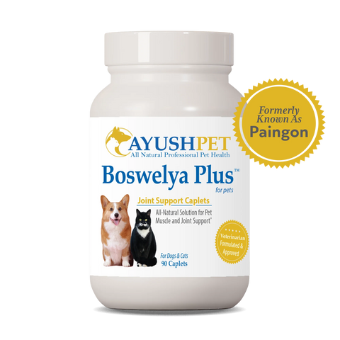 AYUSH BOSWELYA for musculoskeletal issues - 90 caplets