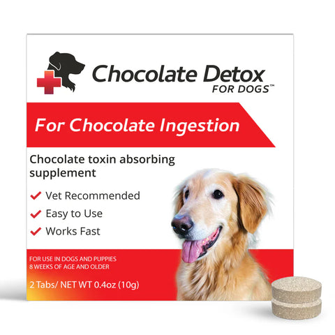 CHOCOLATE DETOX FOR DOGS