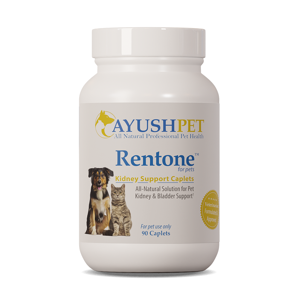AYUSH RENTONE for urinary tract/kidney support - 90 caplets