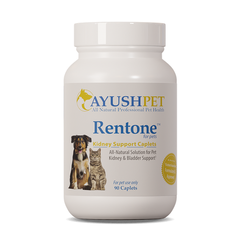 AYUSH RENTONE for urinary tract/kidney support - 90 caplets