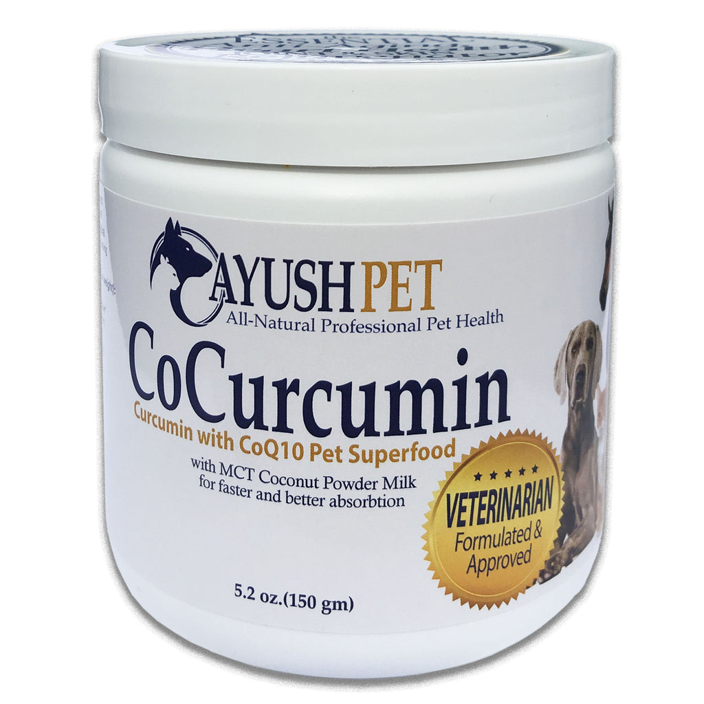 AYUSH COCURCUMIN POWDER WITH CO-Q10 and CURCUMIN for musculoskeletal and cellular issues
