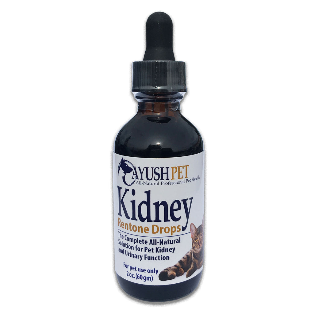 AYUSH RENTONE DROPS for kidney and urinary support 2oz.